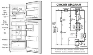 Cấu tạo tủ lạnh Sharp