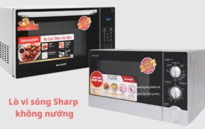 lo-vi-song-sharp-khong-nuong (1)